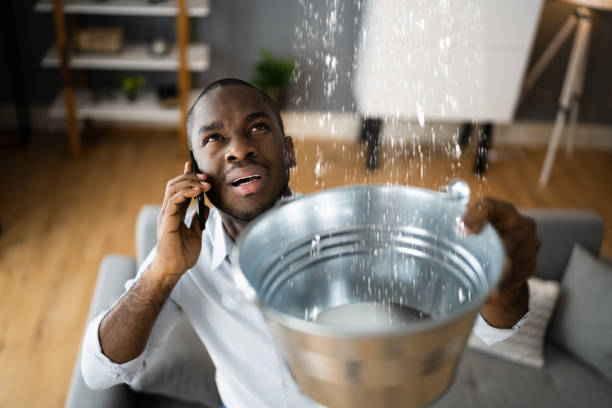 Best Water damage restoration near me  in Staffd, OR