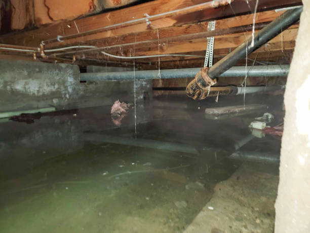 Best Emergency water damage restoration  in Staffd, OR