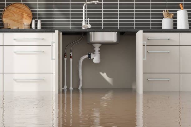 Best 24/7 water damage repair  in Staffd, OR